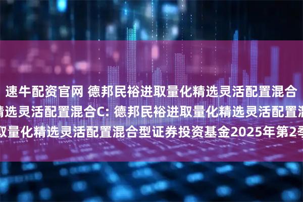 速牛配资官网 德邦民裕进取量化精选灵活配置混合A,德邦民裕进取量化精选灵活配置混合C: 德邦民裕进取量化精选灵活配置混合型证券投资基金2025年第2季度报告