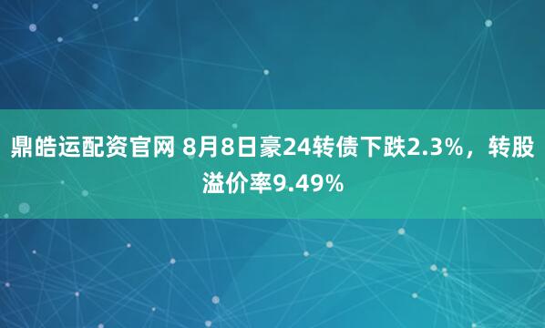 鼎皓运配资官网 8月8日豪24转债下跌2.3%，转股溢价率9.49%